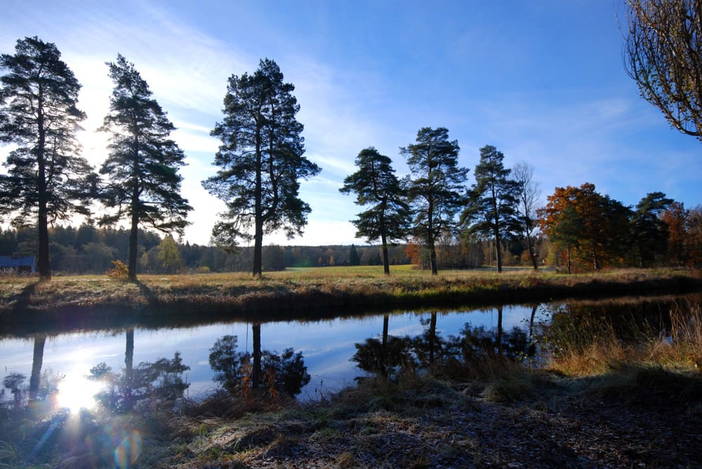 Naturnära boende vid Arbogaån